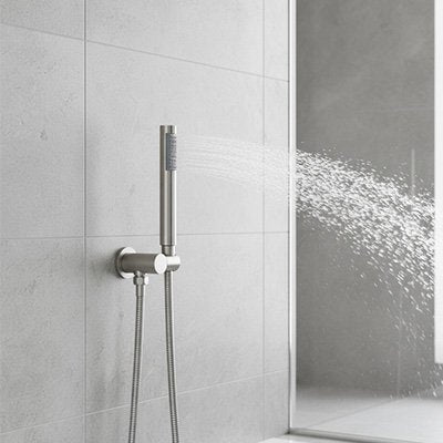 Pommeau de douche argent accroche ecopress